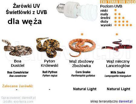 Jakie żarówki UVB wybrać dla węża, sklep terrarystyczny Warszawa